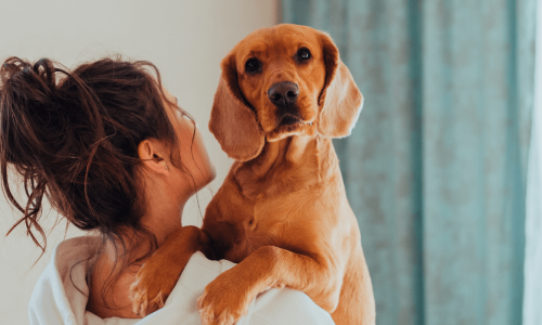 A woman with her hair in a bun holds a large golden-brown dog in her arms, both facing towards the camera.