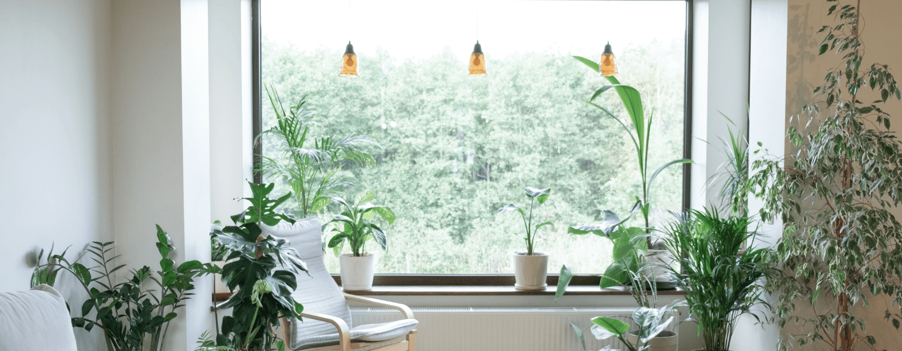 Cozy indoor space with an armchair and a variety of houseplants by a large window overlooking green trees.