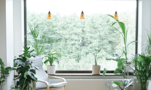 A serene indoor space filled with lush green houseplants by a large window with a view of dense trees.
