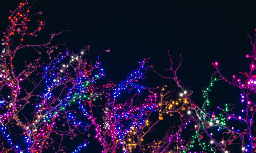 Glowing, colorful holiday lights wrapped around tree branches against a dark night sky.