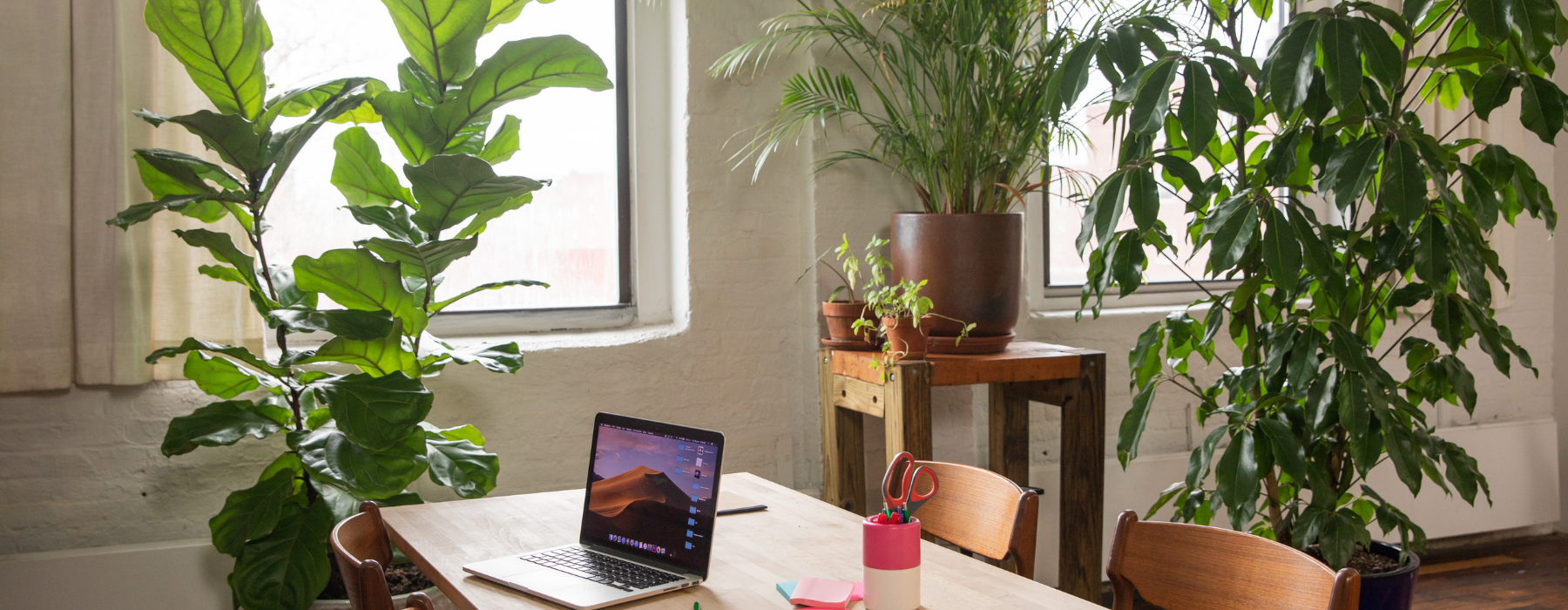 A home office with a wooden table, a laptop, and potted plants by the windows.