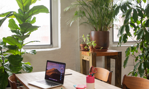 A home office with a wooden table, a laptop, and potted plants by the windows.