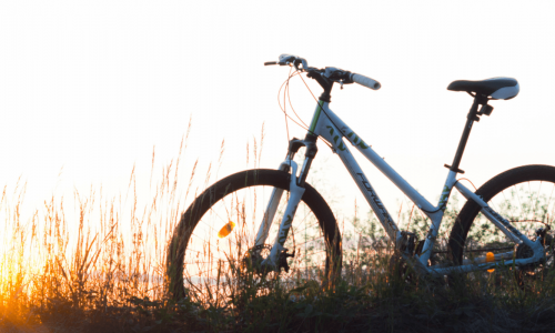  A bicycle silhouetted against the setting sun, parked on a grassy field with tall grasses in the foreground.