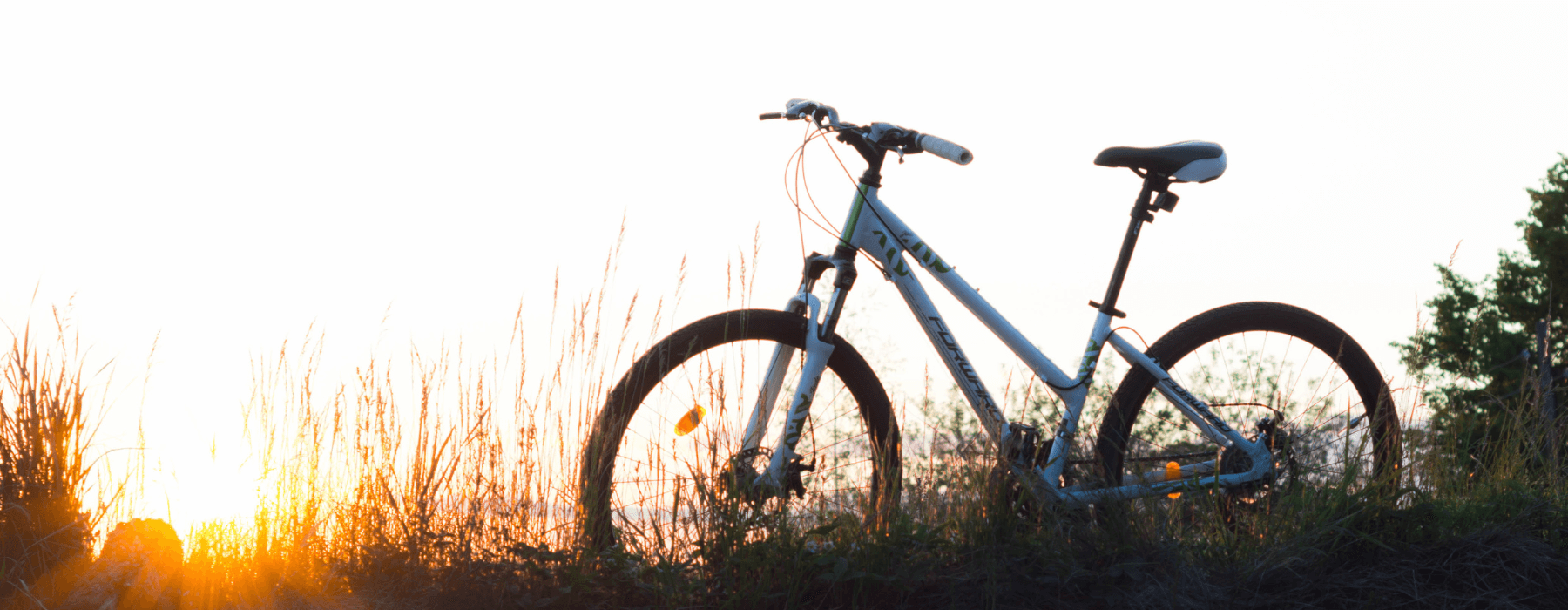  A bicycle silhouetted against the setting sun, parked on a grassy field with tall grasses in the foreground.