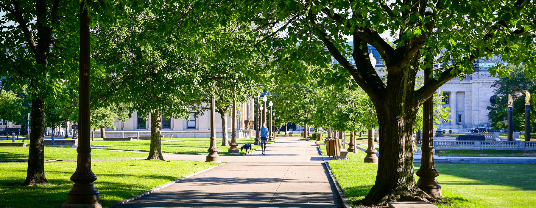 A scenic park pathway lined with trees and vintage lampposts, with a person walking a dog in the distance.