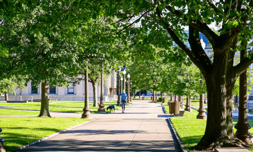 A scenic park pathway lined with trees and vintage lampposts, with a person walking a dog in the distance.