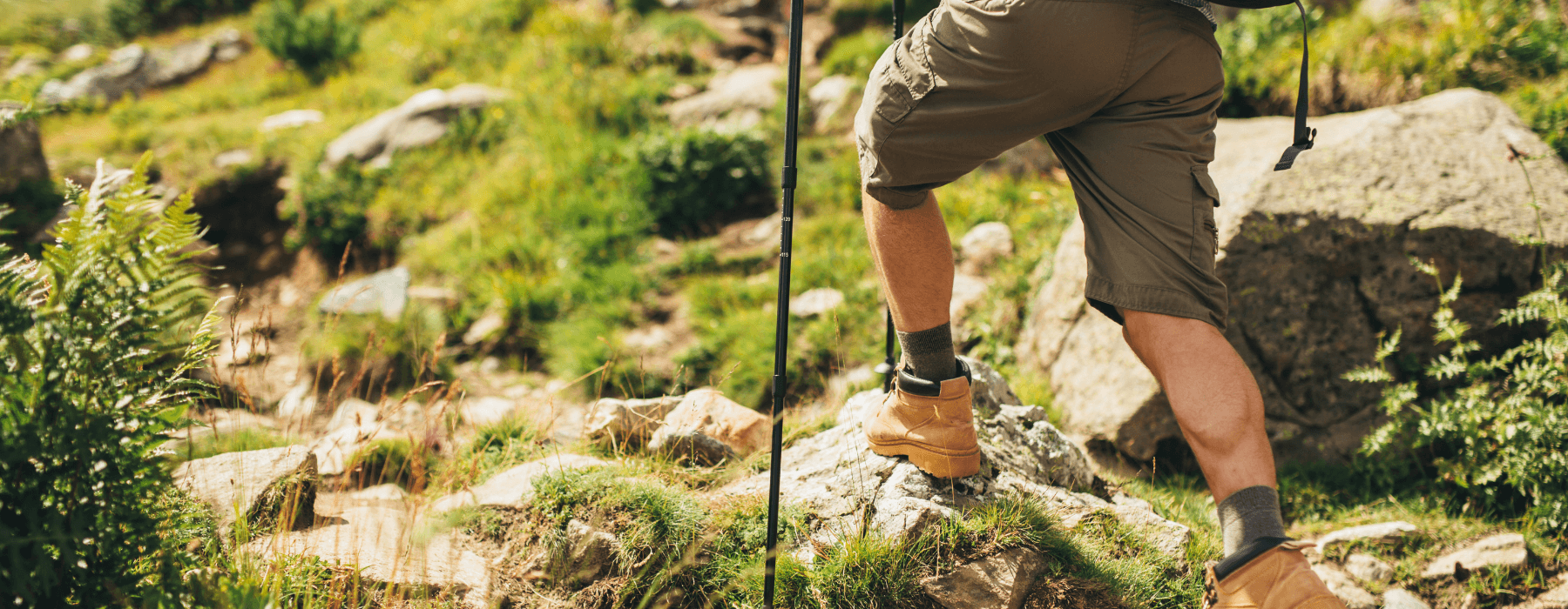 Close-up of a hiker's legs wearing shorts and hiking boots, with a trekking pole, ascending a rocky trail surrounded by greenery.